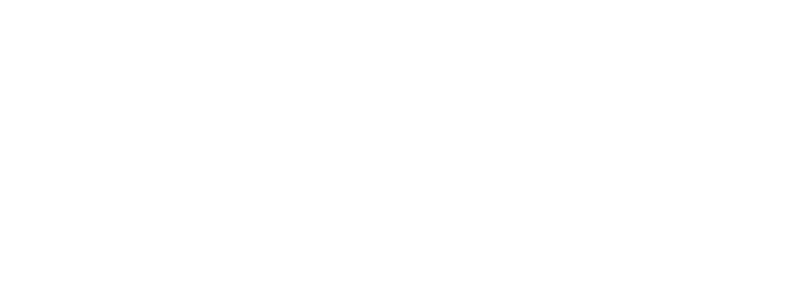 NTEU NSW logo